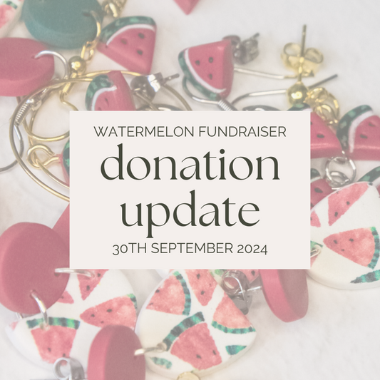 Watermelon Jewellery Palestine | NZ Fundraiser