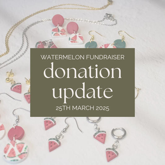 Watermelon fundraiser earrings donation update